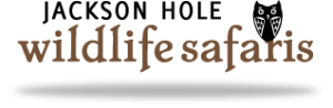 Jackson Hole Wildlife Safari